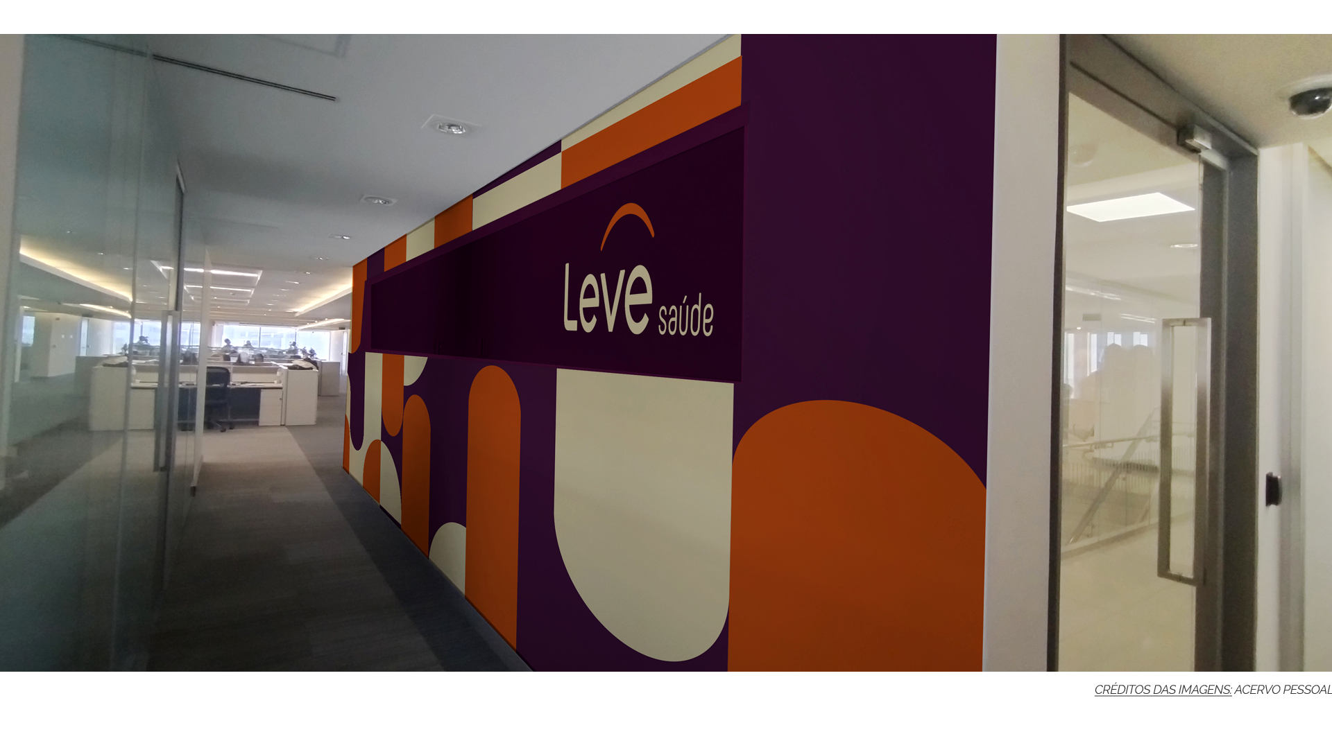Branding, Material Gráfico, Projeto de Ambientação & Sinalização Leve Saúde